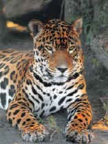 Fotografias de Formosa